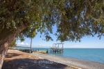 evkalipt-rosha_ochamchira_beach_5