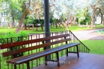 evkalipt-rosha_ochamchira_new_korp_05