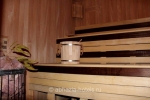 evkalipt-rosha_ochamchira_sauna_2