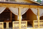 kalysur-suhum_apach2_b