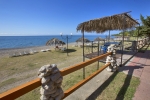 kamarit_afon_0_terr__02
