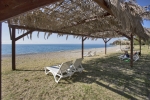 kamarit_afon_0_terr__04