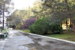 kavkaz-gagra_0_terr_territoria_DSCN5343