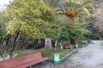 kavkaz-gagra_0_terr_territoria_DSCN5352