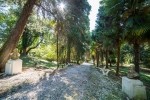 zolot-bereg-gudauta_0_terr_7