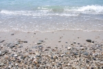 zolot-bereg-gudauta_beach_6